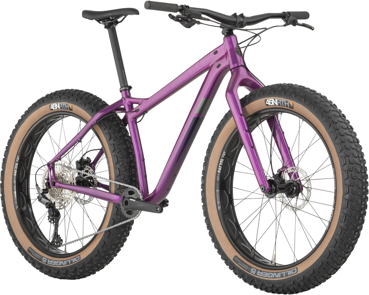 2021 Salsa Mukluk Deore 11