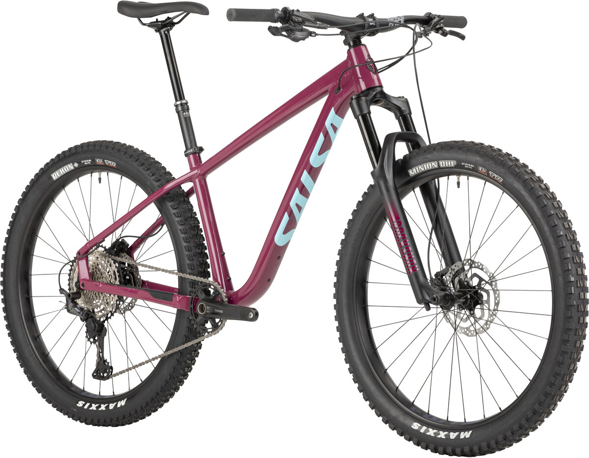2021 Salsa Timberjack XT 27.5+