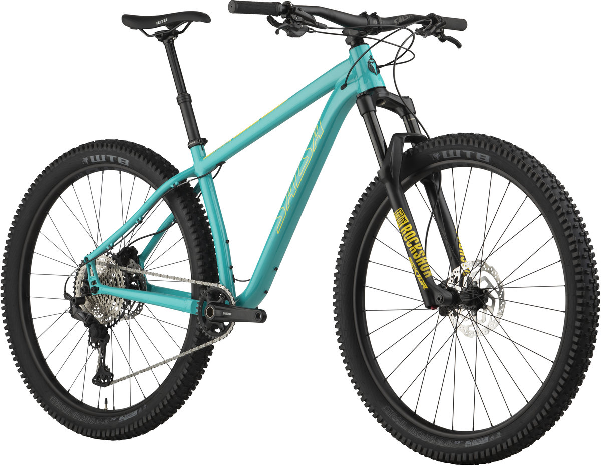 2020 Salsa Timberjack XT 29