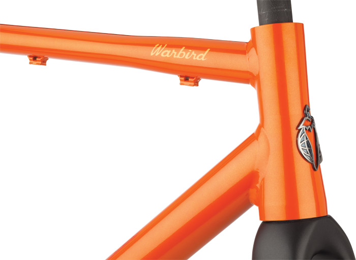 2013 Salsa Warbird 2