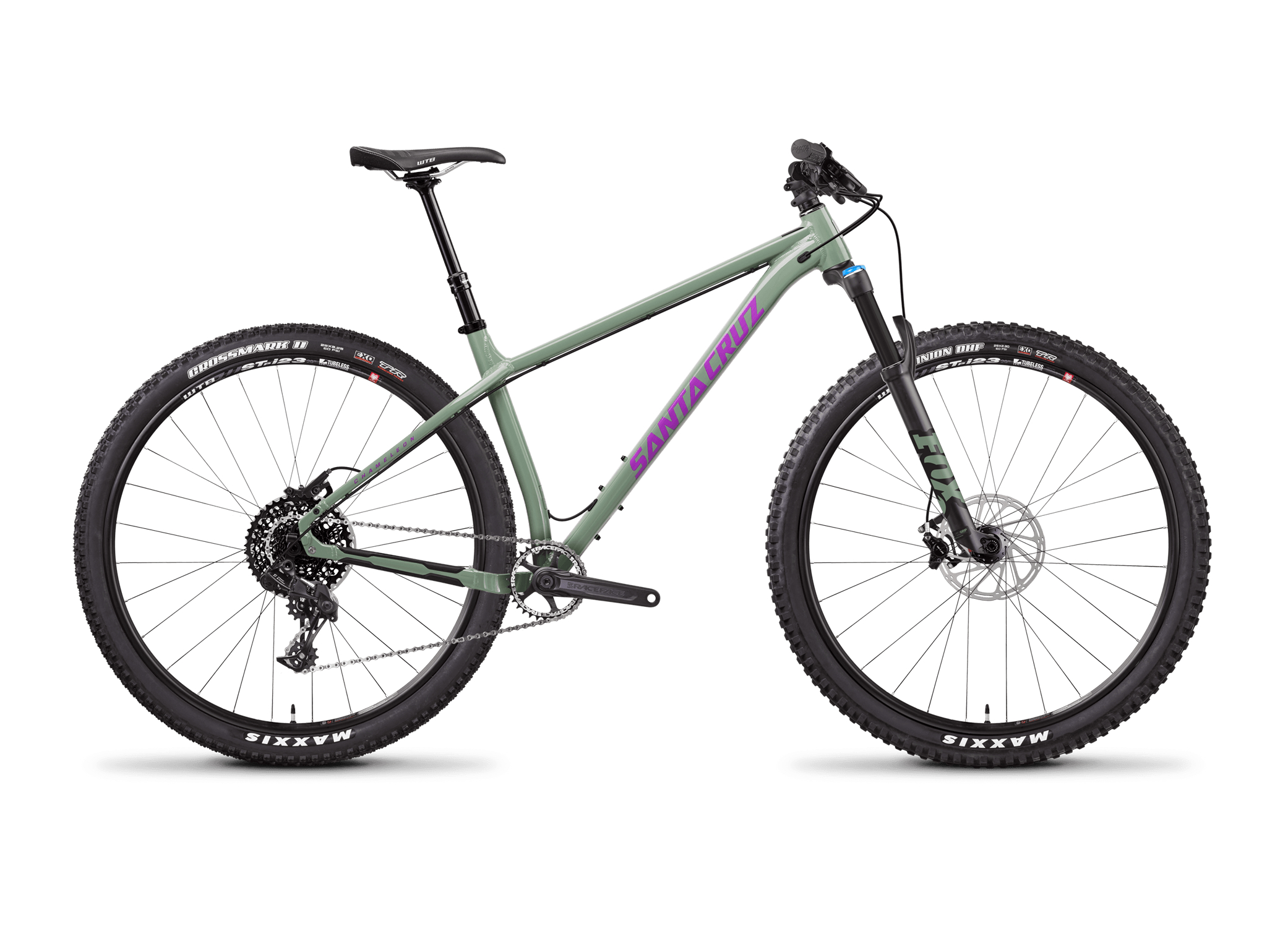 2018 Chameleon