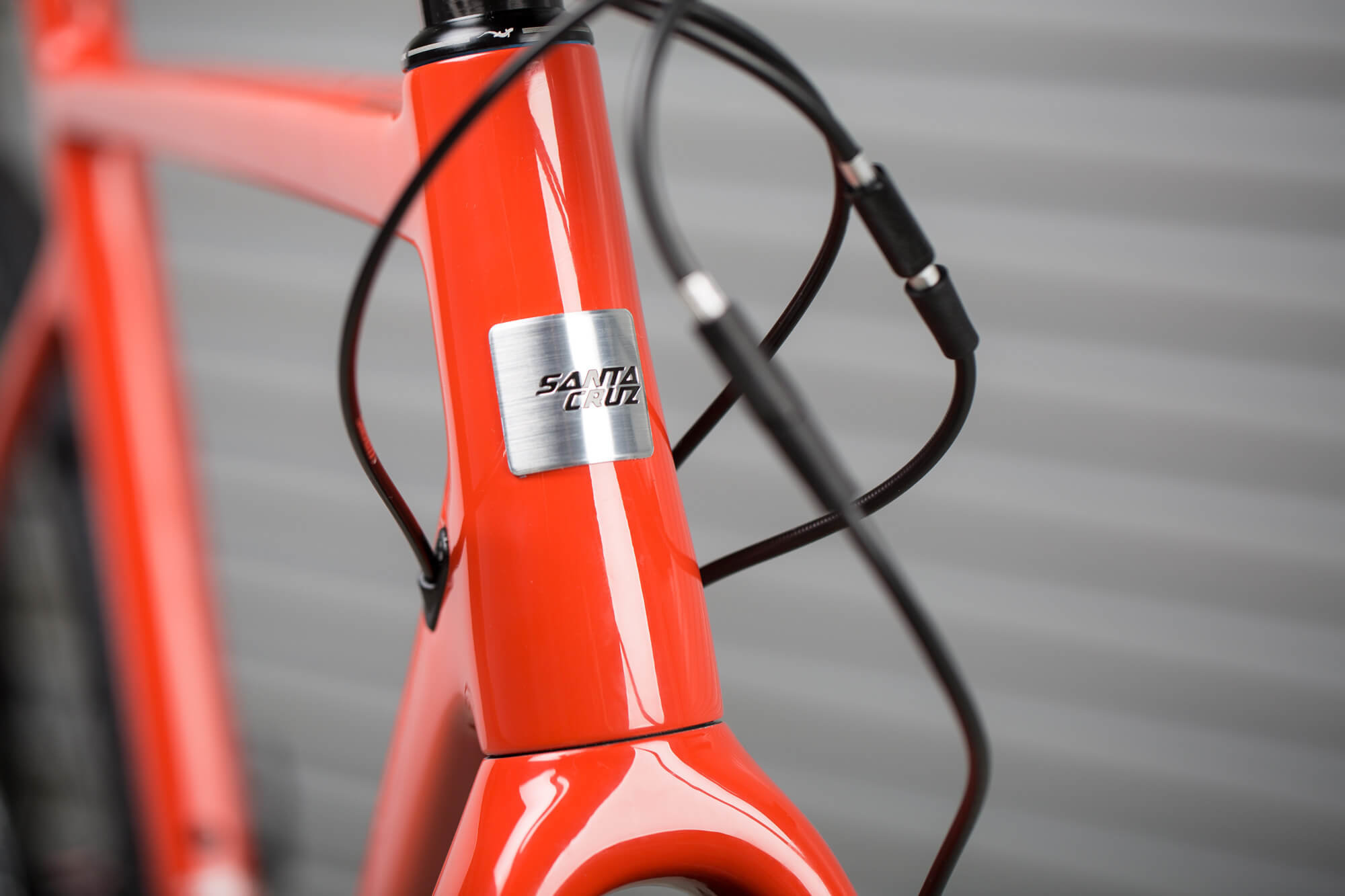 2019 Stigmata