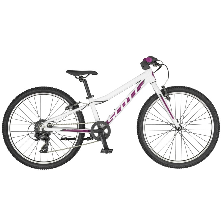 2019 Contessa