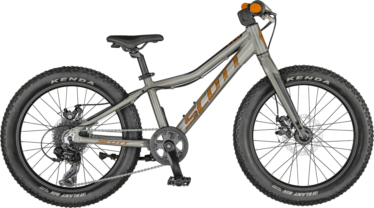 2021 Roxter