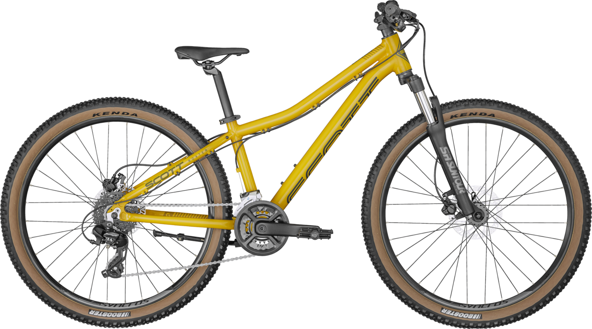 2022 Roxter