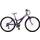 2009 Trek MT 220 Girl's