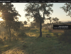 MOVIMIENTO WWOOF MOVIMIENTO WWOOF