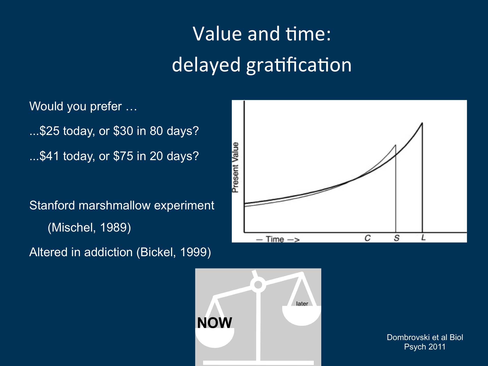Late Life Suicide As A Disadvantageous Choice Broadcastmed Images, Photos, Reviews