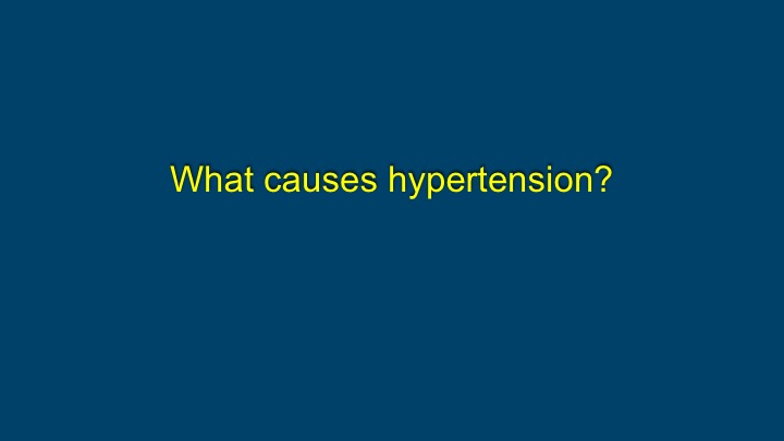 Slide 19