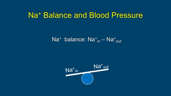 Slide 20