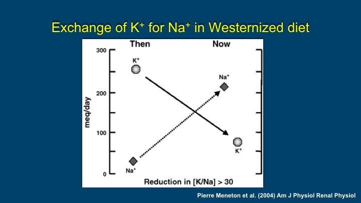 Slide 24