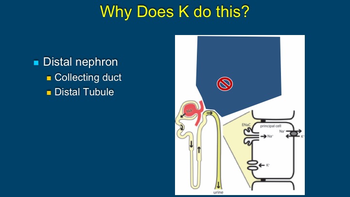 Slide 36