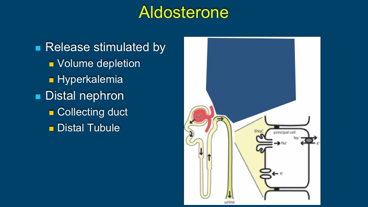 Slide 8