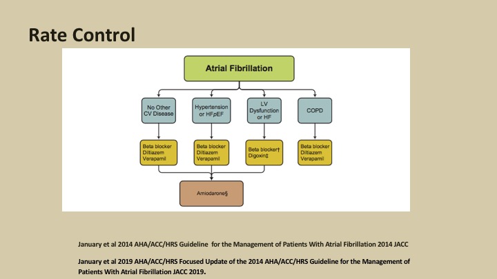 Atrial Fibrillation Ablation Focus On Comprehensive Care Of Af