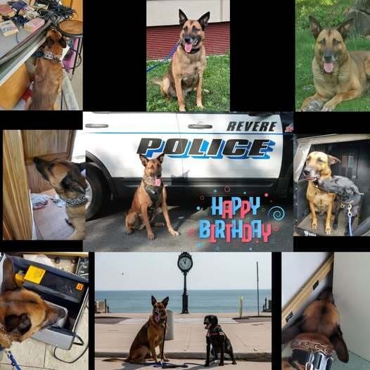 happy 10th birthday tek