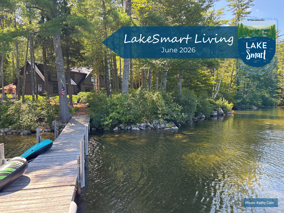 LakeSmart Living June 2026