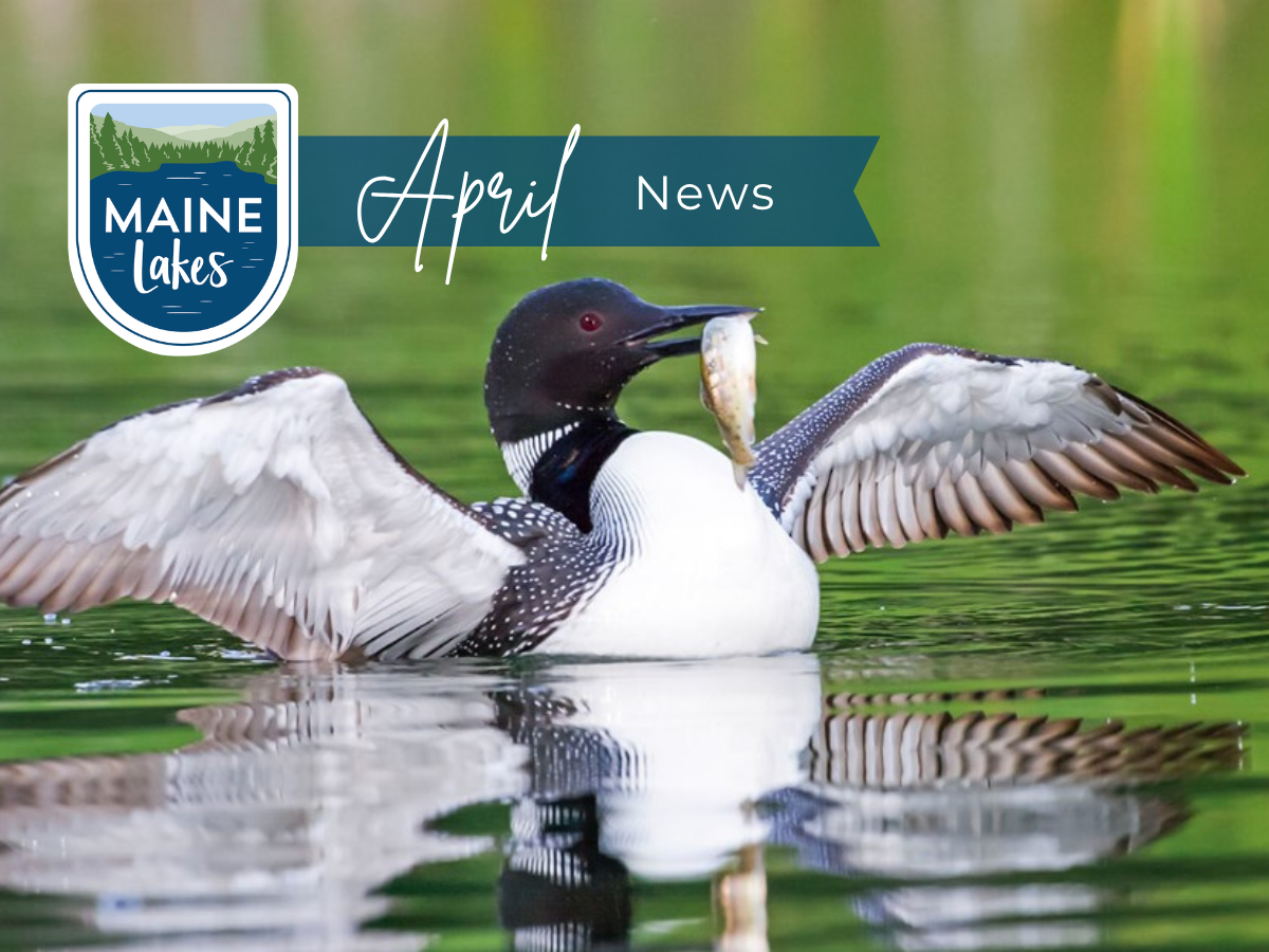 December 2025 Newsletter