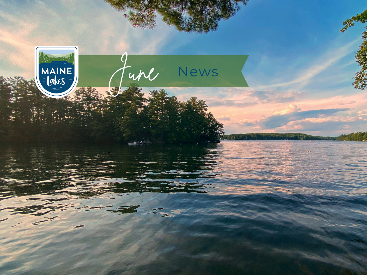 June 2026 Newsletter