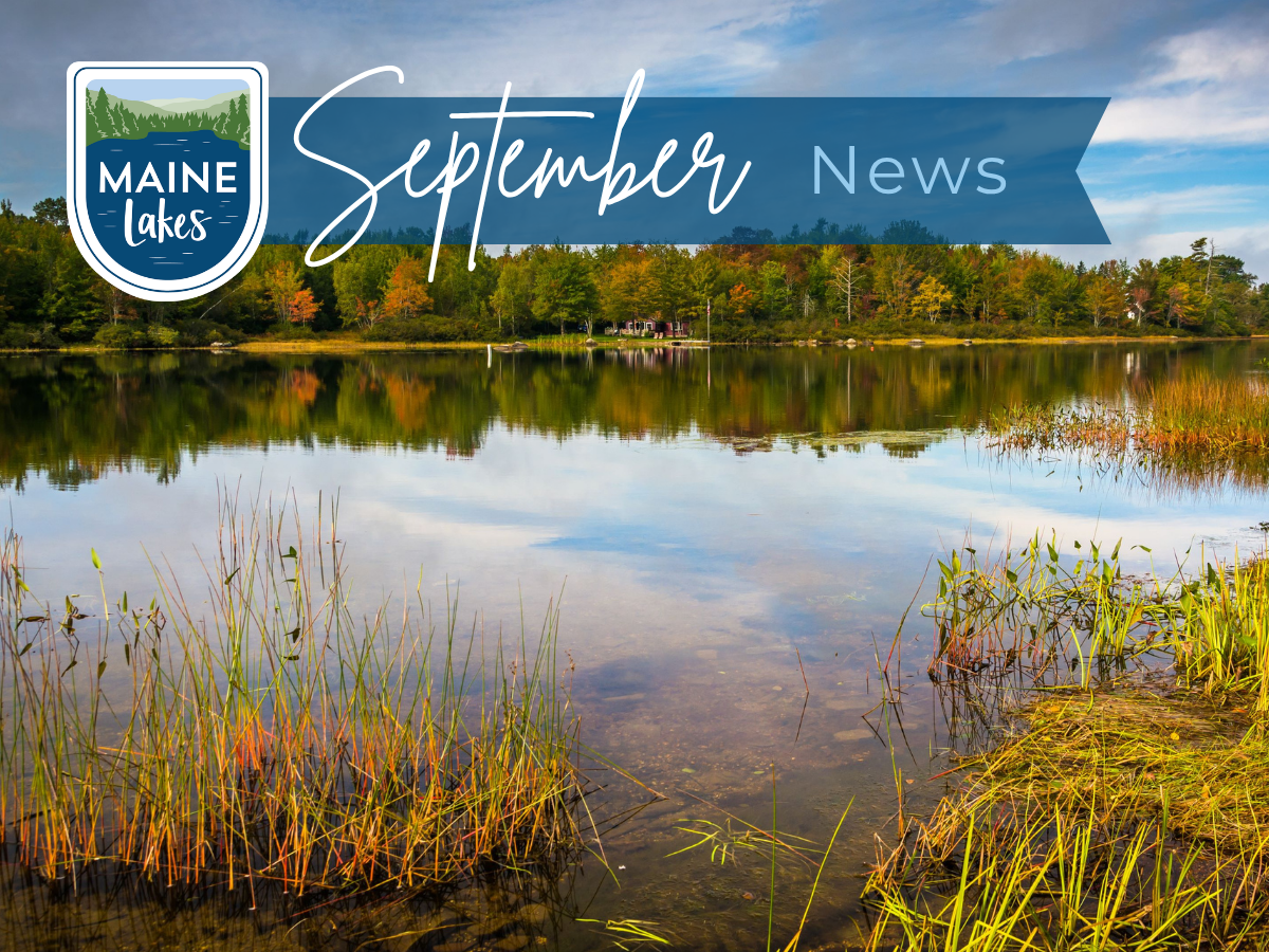 September 2026 News