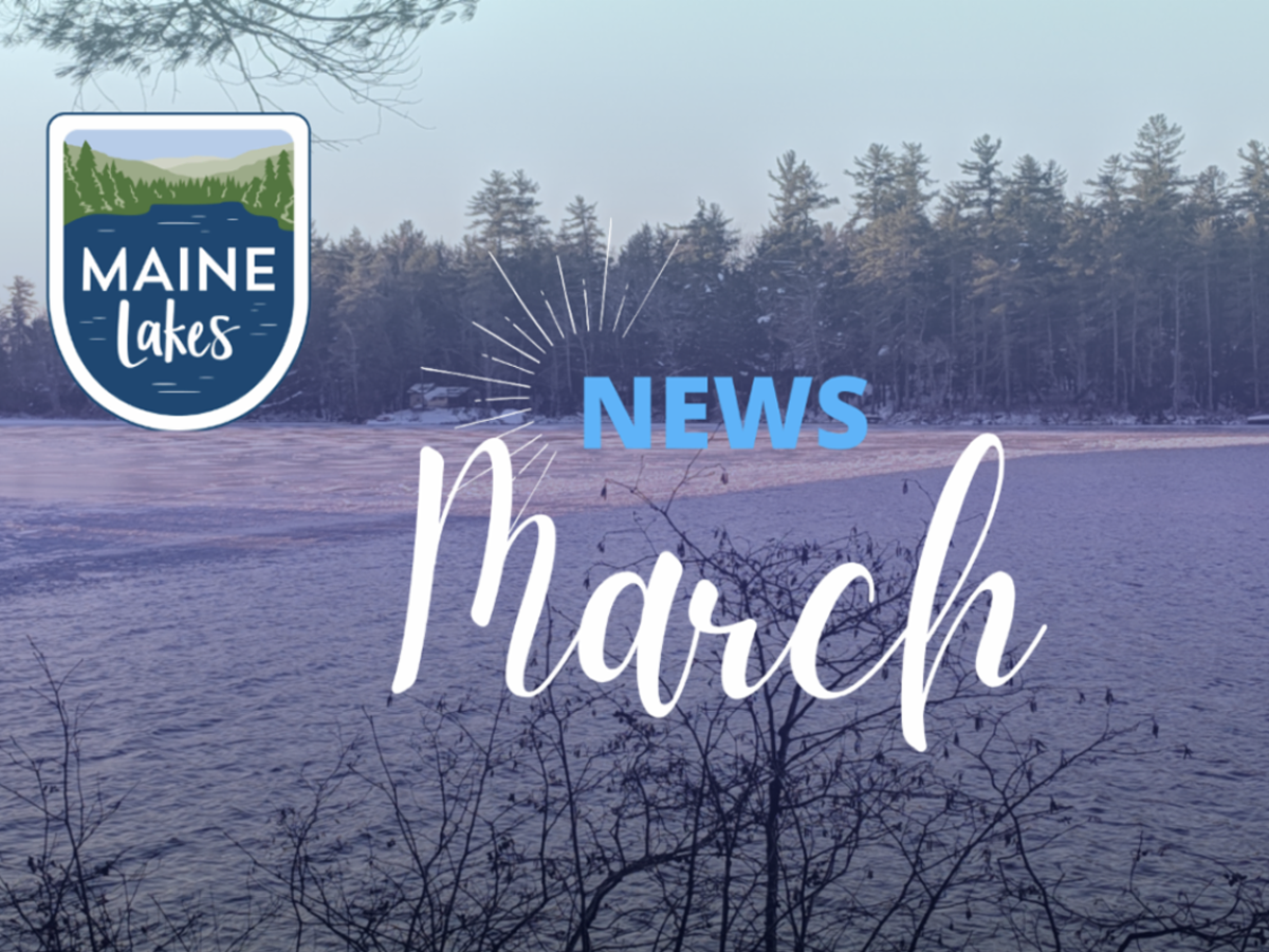 January 2026 Newsletter
