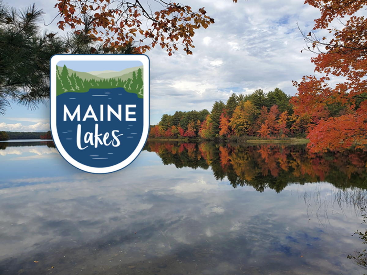 October 2025 Newsletter