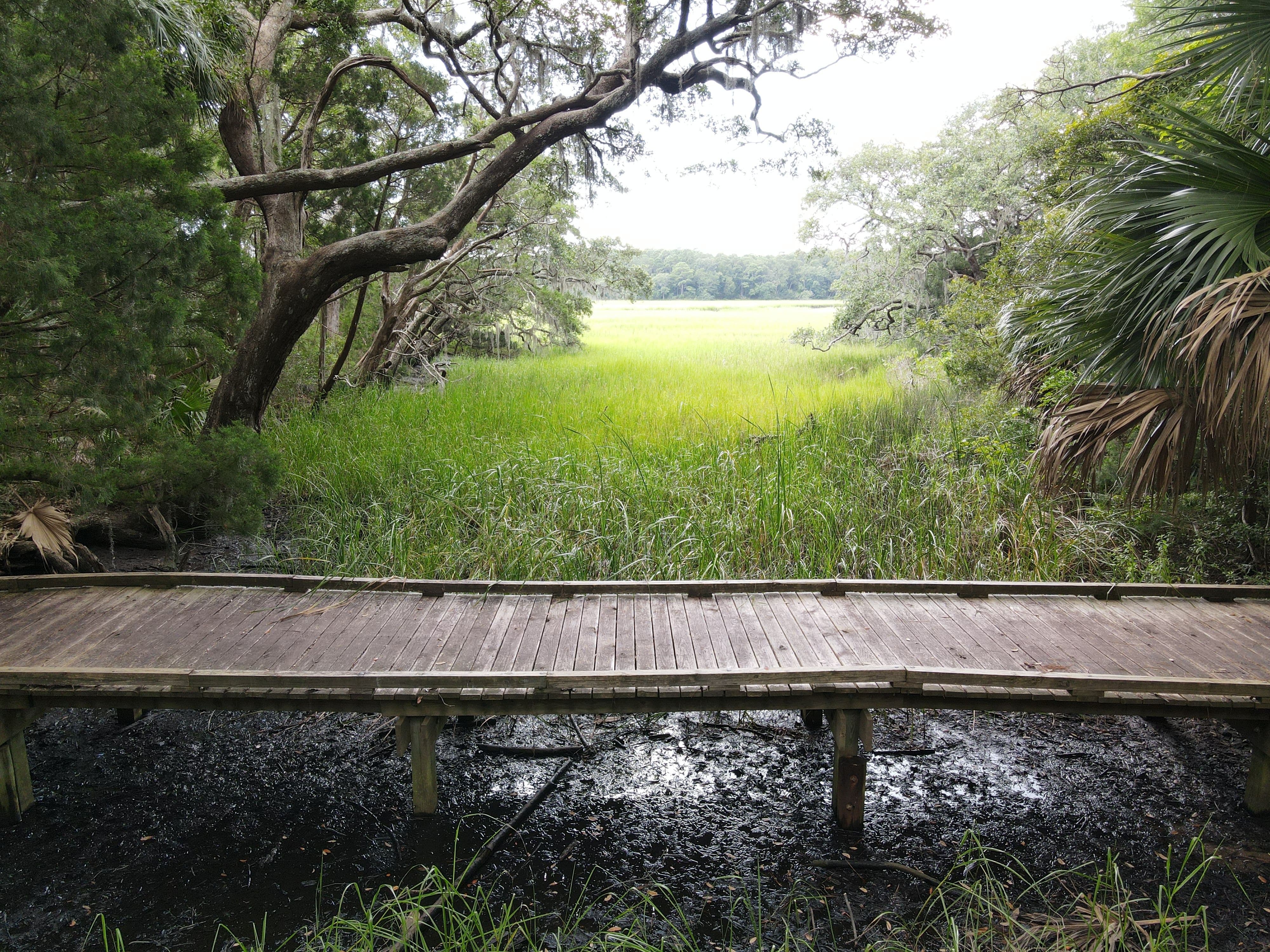 Awendaw Boardwalk on the Palmetto Trail
