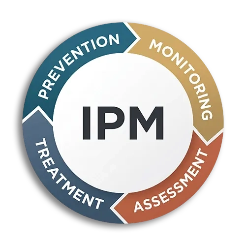 IPM wheel