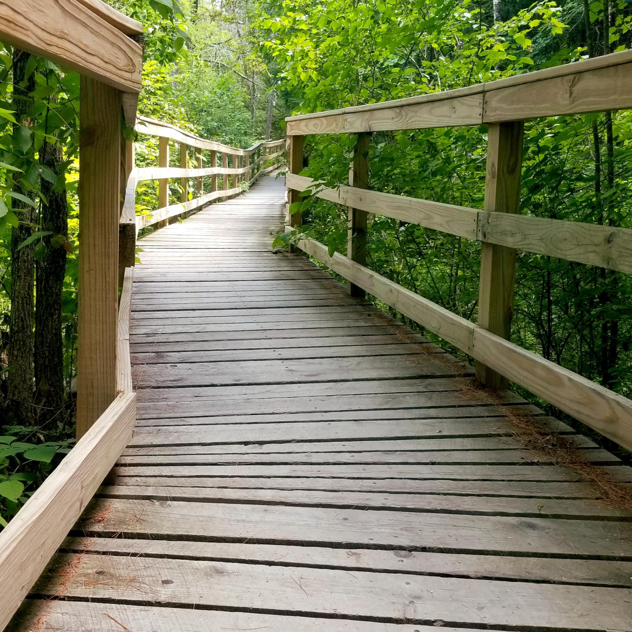 Enock's Adventures Hawkes & Frazier Preserves