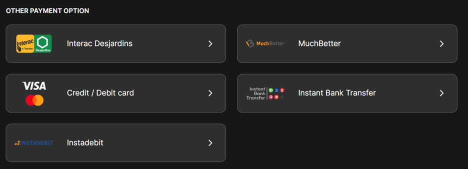 BET99 Sportsbook App Payment Methods