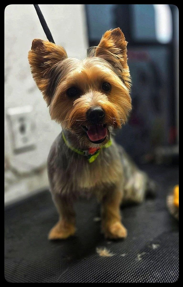 slide-image