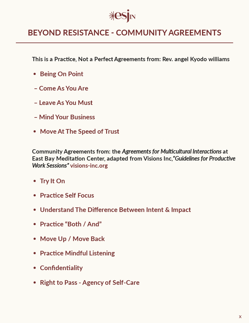 Beyond Resistance Community Agreements