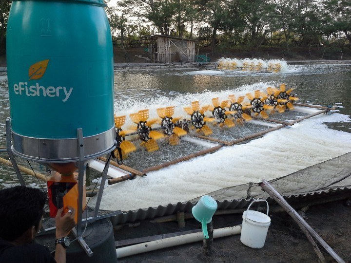 Agritech Startup eFishery Raised US$90 Million in Series C | BEAMSTART News