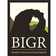 BIGR Ventures Logo