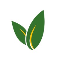 Kua Ventures Logo