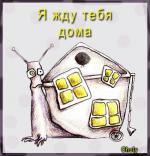 dima