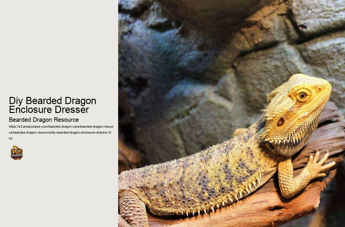 Diy Bearded Dragon Enclosure Dresser
