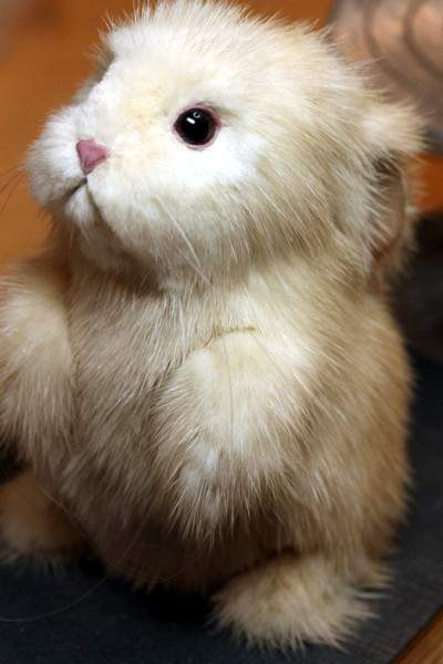 Mink Bunny Rabbit 495.00 by Kimbearlys - Bear Pile