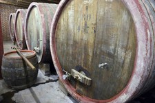 Стили бельгийского пива, пиво в Бельгии, маргарита, маргарита