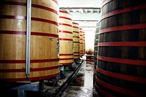 Oud Bruin, бельгийские пивные стили, пиво в Бельгии