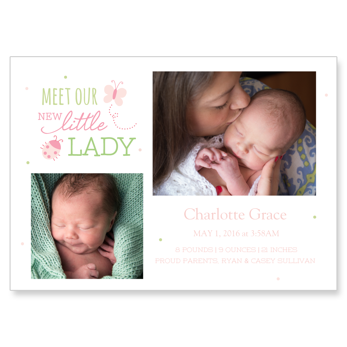 Ladybug Announcement