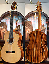Bolivian Rosewood back and sides, Cedar top Concert Classical Guitar, The Tiger