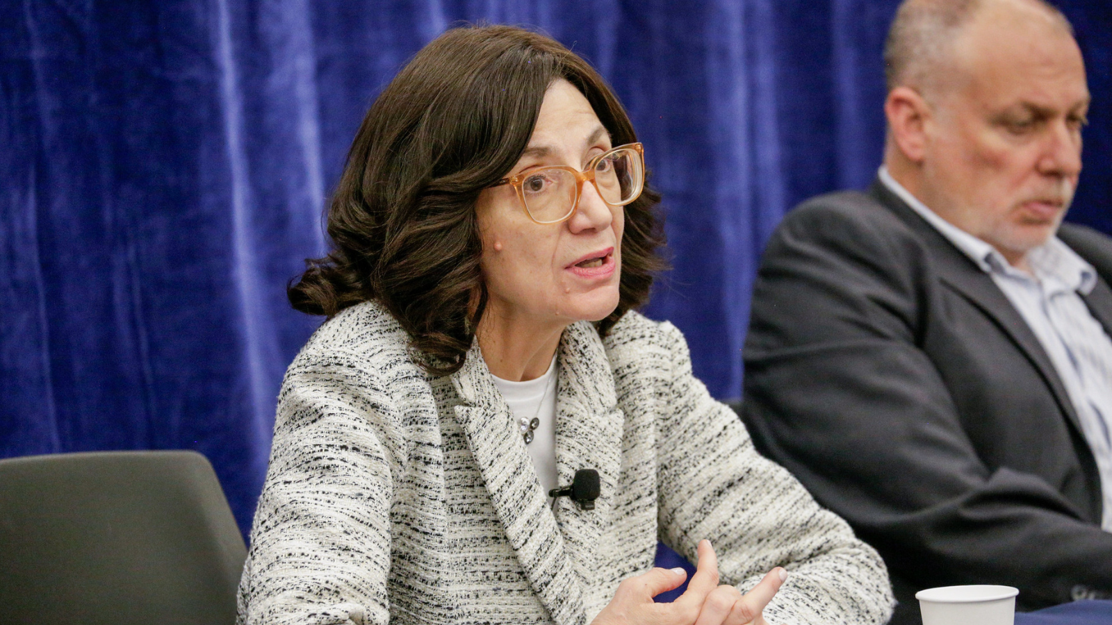 Jocelyne Cesari, Senior Fellow, Berkley Center for Religion, Peace, and World Affairs.