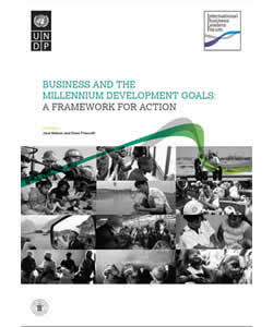 Business and the Millennium Development Goals: A Framework for Action