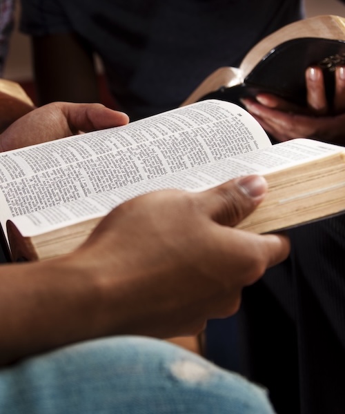 Hands holding bibles