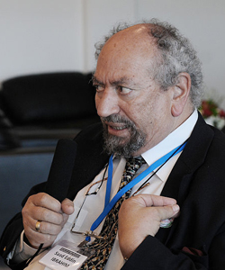 Interview: Saad Eddin Ibrahim on Development in the Muslim World