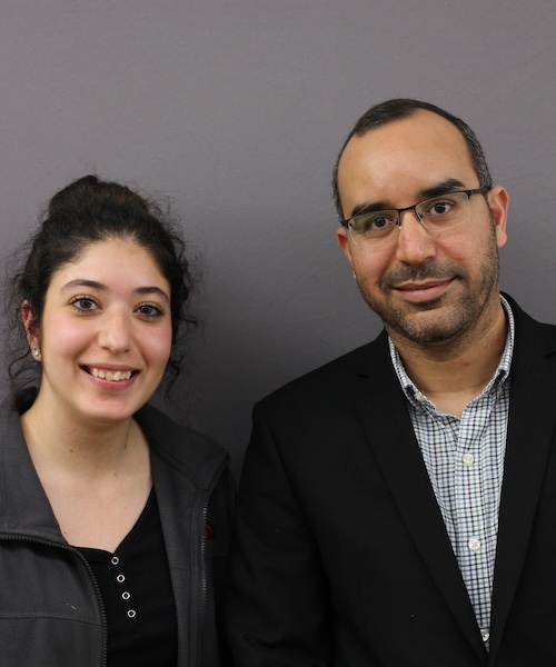 Ossama Fadel Abdelgawwad and Duaa S. Hijaz