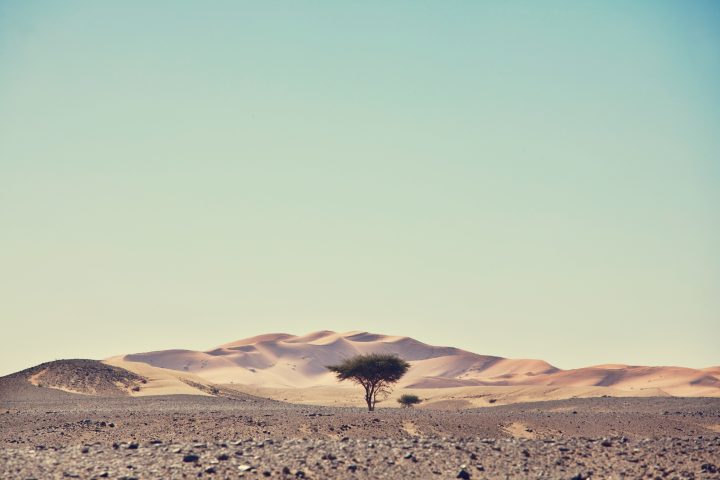 Sand desert