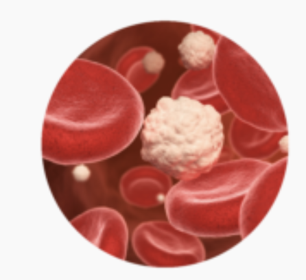 how much berberine should a type 2 diabetic take