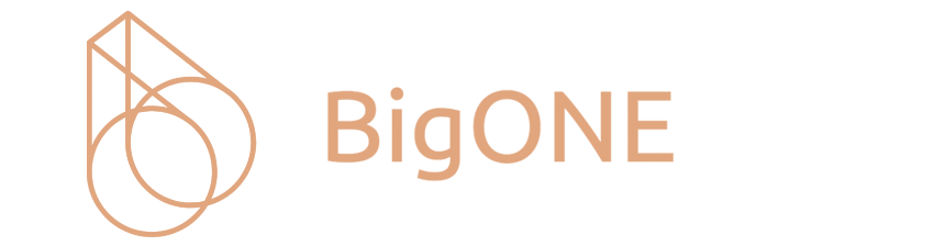 BigONE Exchange Logo