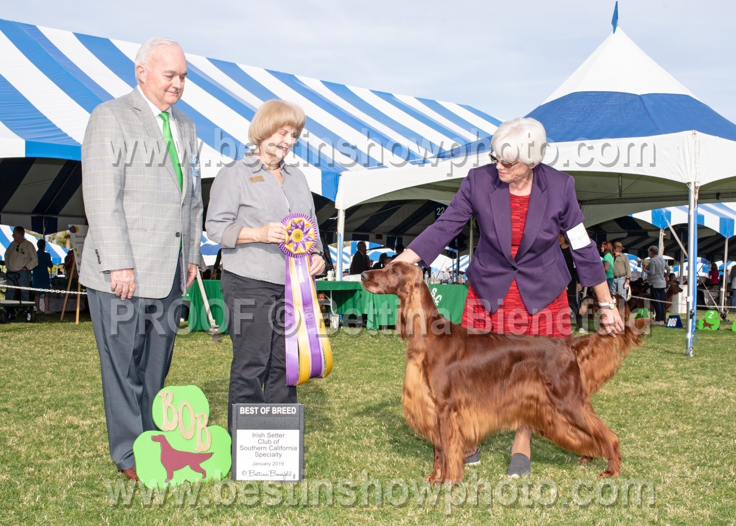 Irish Setter Club of Southern California 1/3/2020 in Indio, CA Show
